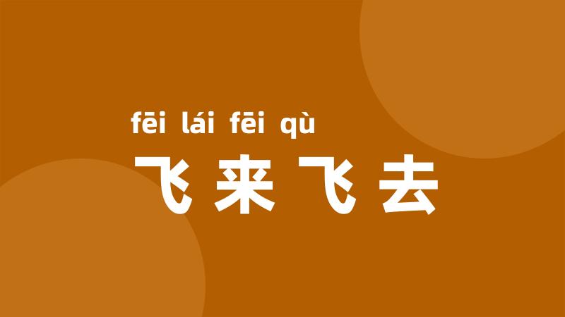 飞来飞去