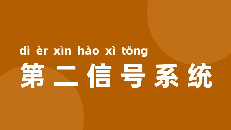 第二信号系统