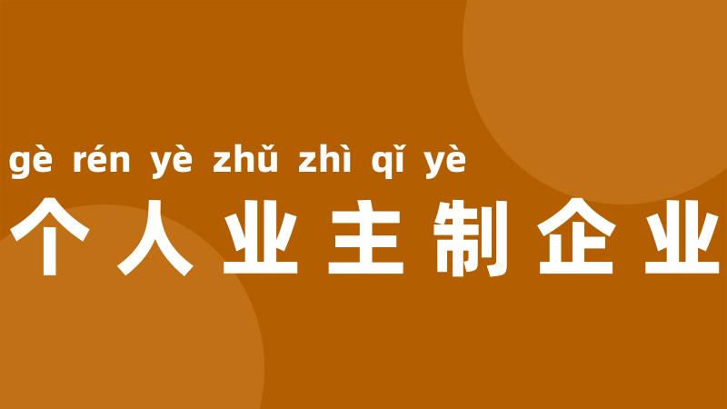 个人业主制企业